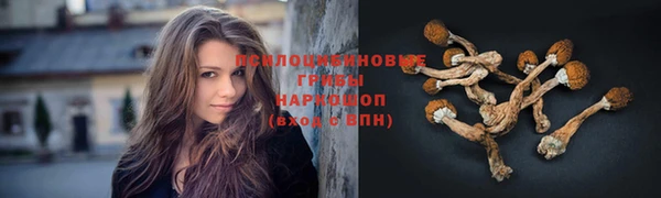 эйфоретик Алексеевка
